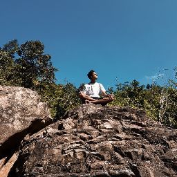 Profile Picture